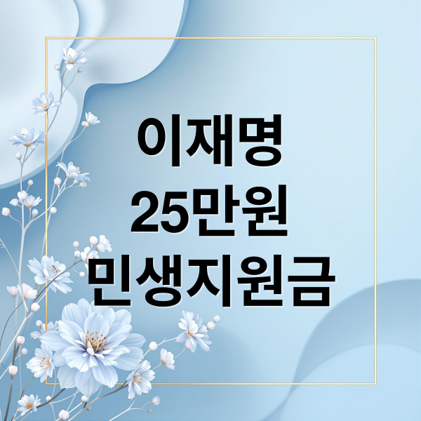이재명
25만원
민생지원금 (이재명 25만원 민생지원금)