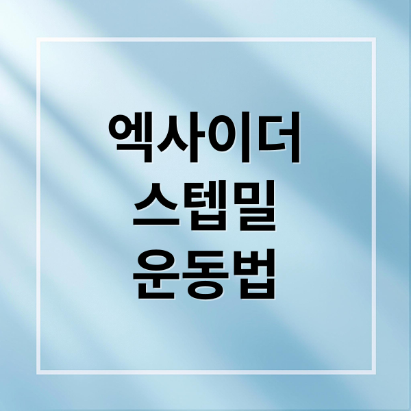엑사이더
스텝밀
운동법 (엑사이더 천국의계단 스텝밀)