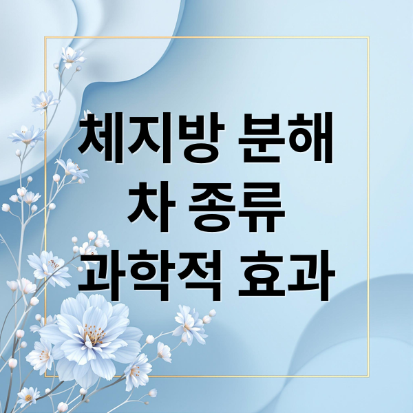 체지방 분해
차 종류
과학적 효과 (체지방 분해 차 종류)