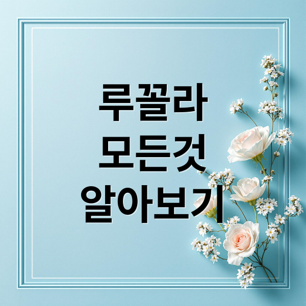 루꼴라
모든것
알아보기 (루꼴라 효능 성분)