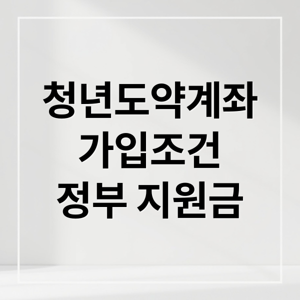 청년도약계좌
가입조건
정부 지원금 (청년도약계좌)