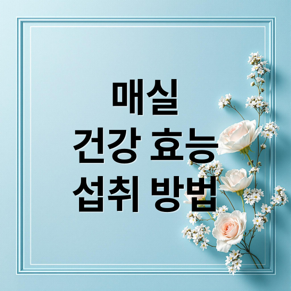 매실
건강 효능
섭취 방법 (매실 효능)