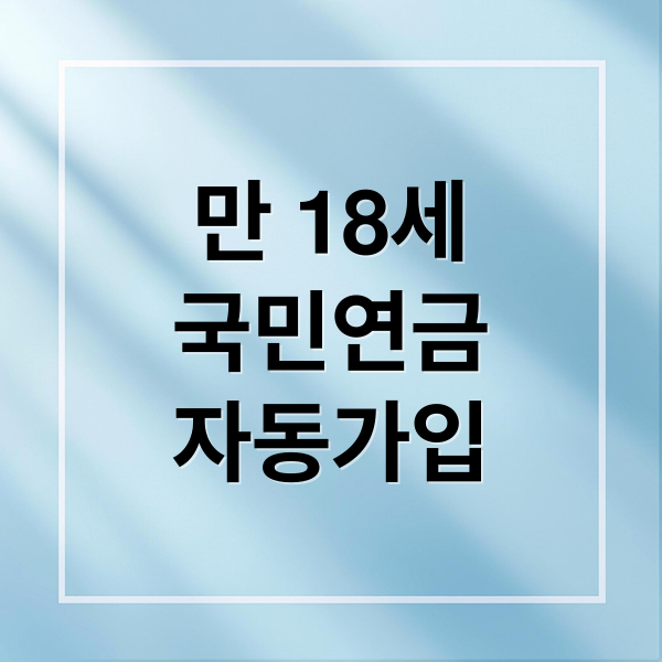 만 18세
국민연금
자동가입 (18세 국민연금 가입)