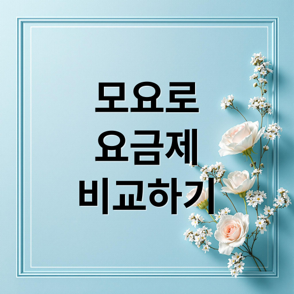 모요로
요금제
비교하기 (모요 요금제 비교 사이트 후기)