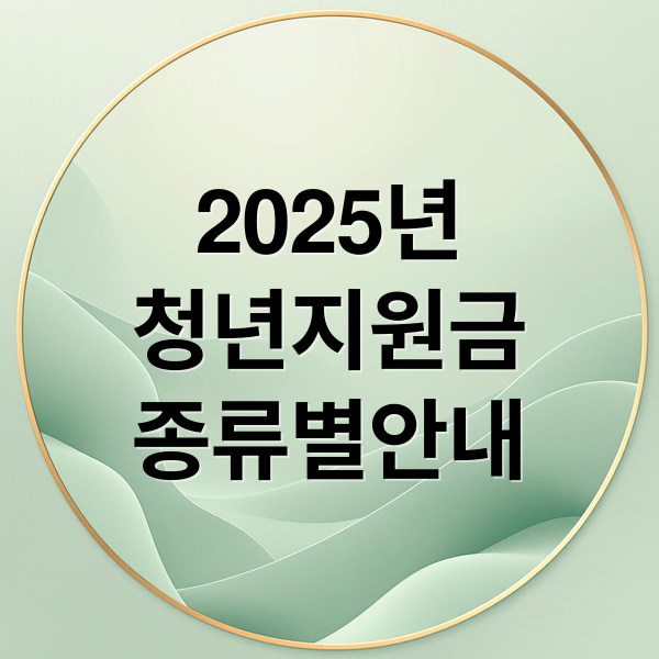 2025년
청년지원금
종류별안내 (청년지원금)