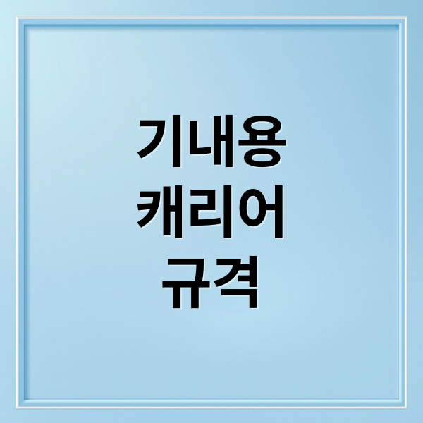 기내용
캐리어
규격 (기내용캐리어)