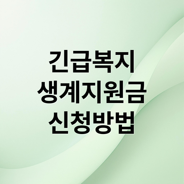 긴급복지
생계지원금
신청방법 (긴급복지 생계지원금)