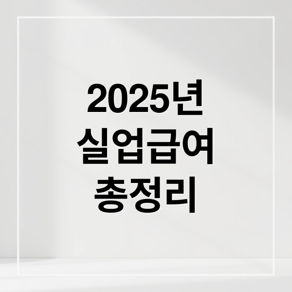 2025년
실업급여
총정리 (2025년 실업급여 조건)