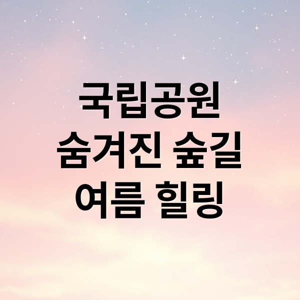국립공원
숨겨진 숲길
여름 힐링 (국립공원 숲길 산책로)