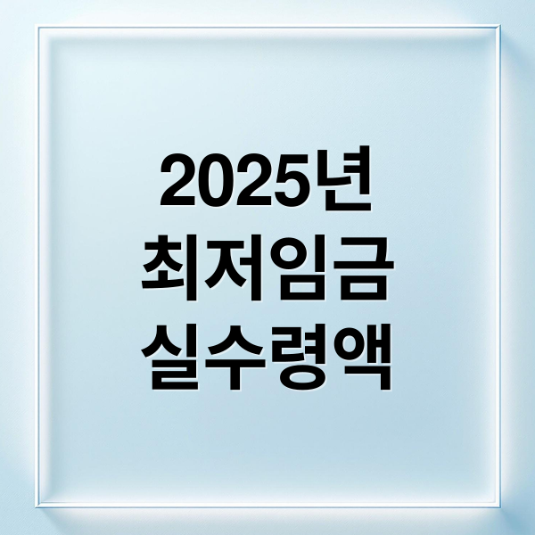 2025년
최저임금
실수령액 (최저임금)