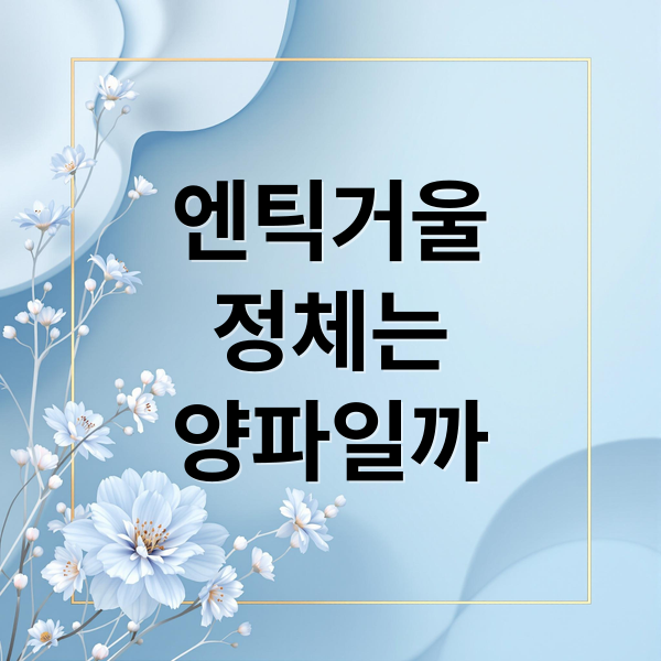 엔틱거울
정체는
양파일까 (복명가왕 엔틱거울 정체 누구 이름 프로필)