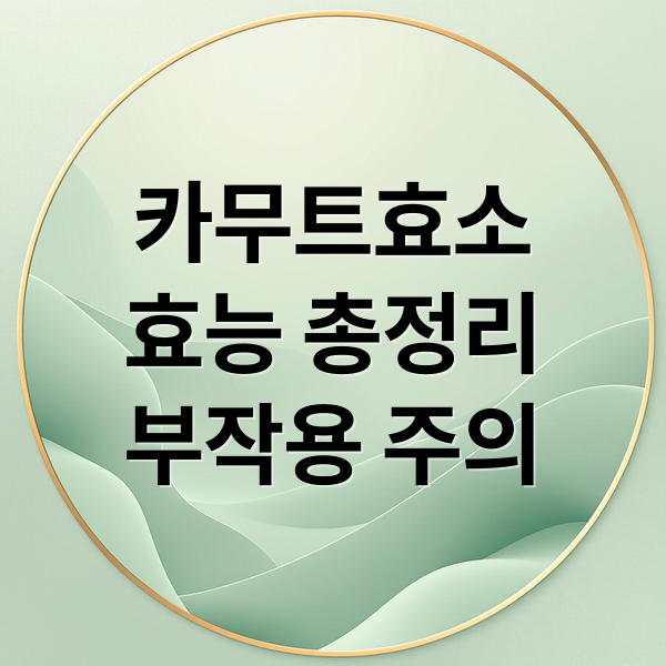 카무트효소
효능 총정리
부작용 주의 (카무트효소 효능 부작용)