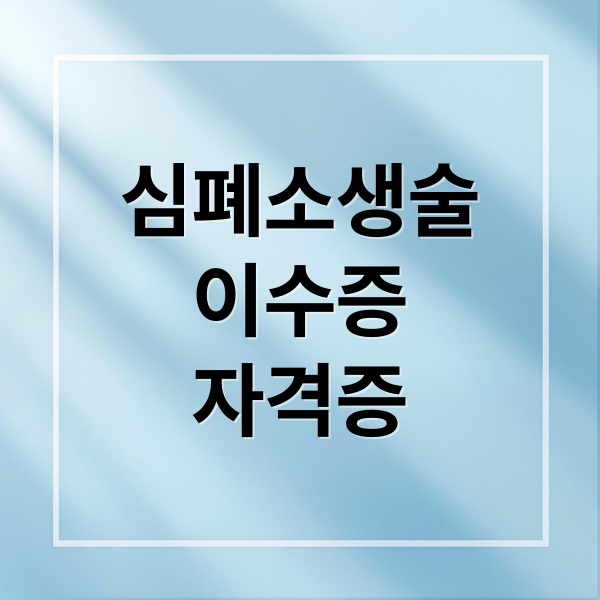 심폐소생술
이수증
자격증 (심폐소생술 교육 이수증 자격증)