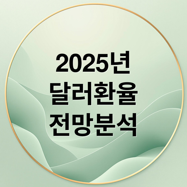 2025년
달러환율
전망분석 (달러환율 전망)