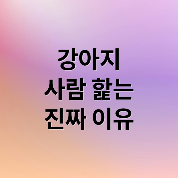 강아지
사람 핥는
진짜 이유 (강아지 손 발 핥는 이유)