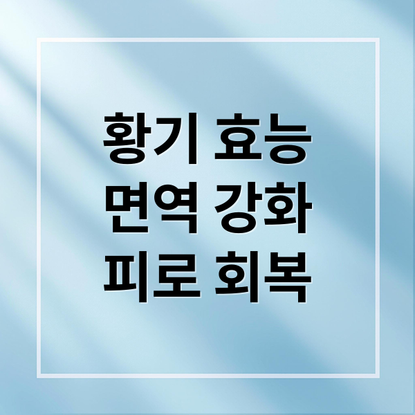 황기 효능
면역 강화
피로 회복 (황기 효능)
