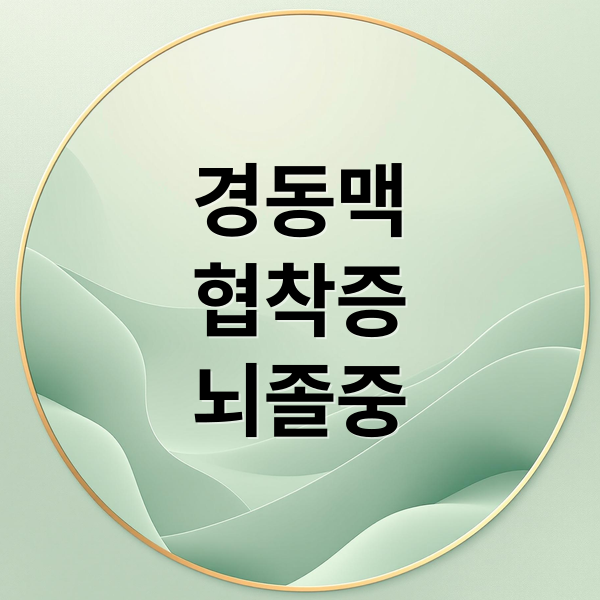 경동맥
협착증
뇌졸중 (경동맥 70% 막힘 증상)