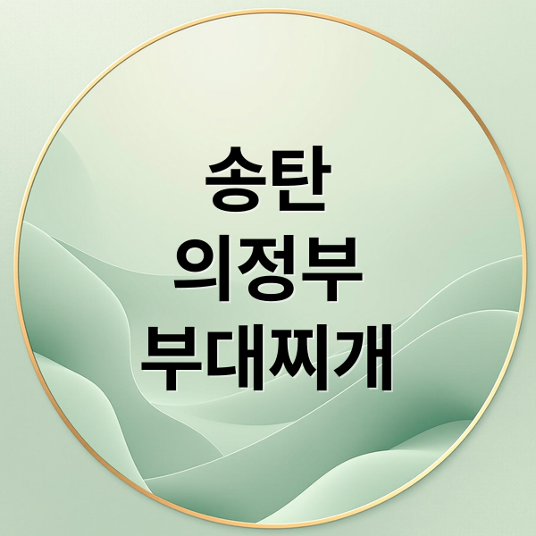 송탄
의정부
부대찌개 (송탄 부대찌개 의정부 부대찌개 차이점 )