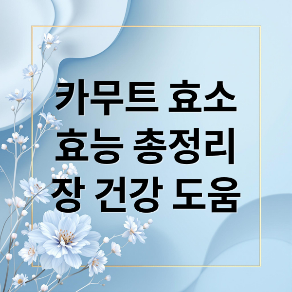 카무트 효소
효능 총정리
장 건강 도움 (카무트 효소 추천 이유)