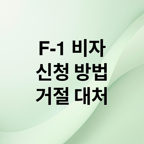 F-1 비자신청 방법거절 대처 (미국 학생비자 신청 절차)