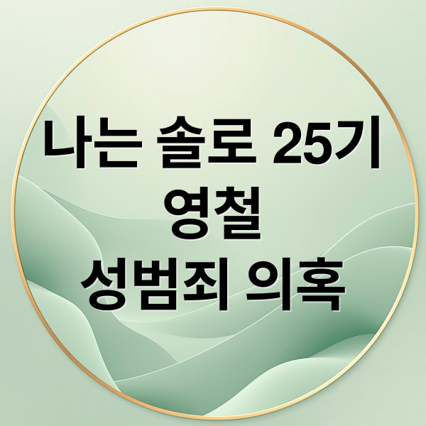 나는 솔로 25기
영철
성범죄 의혹 (나는 솔로 25기 영철 논란)