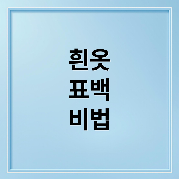 흰옷
표백
비법 (흰옷 하얗게 하는법)
