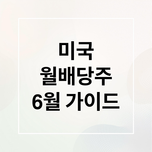 미국
월배당주
6월 가이드 (2025년 6월 미국 월배당주)