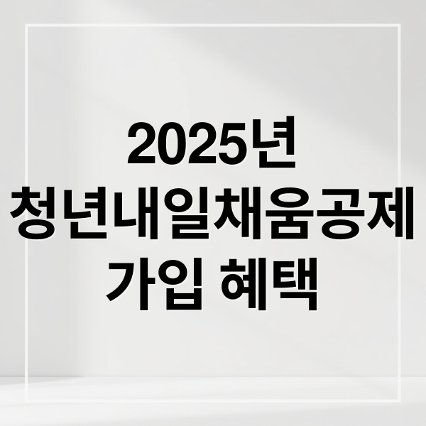 2025년
청년내일채움공제
가입 혜택 (청년내일채움공제)
