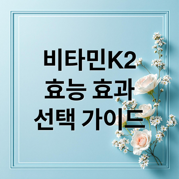 비타민K2
효능 효과
선택 가이드 (비타민 k2 효능 권장량)