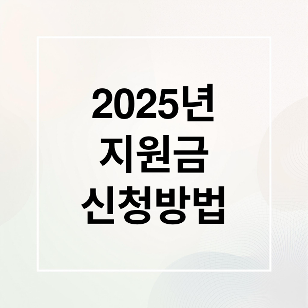 2025년
지원금
신청방법 (2025 민생회복 지원금, 민생회복 지원금 온라인 신청 방법, 민생회복 지원)