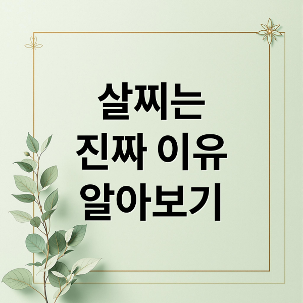 살찌는
진짜 이유
알아보기 (살찌는 이유 호르몬 불균형)