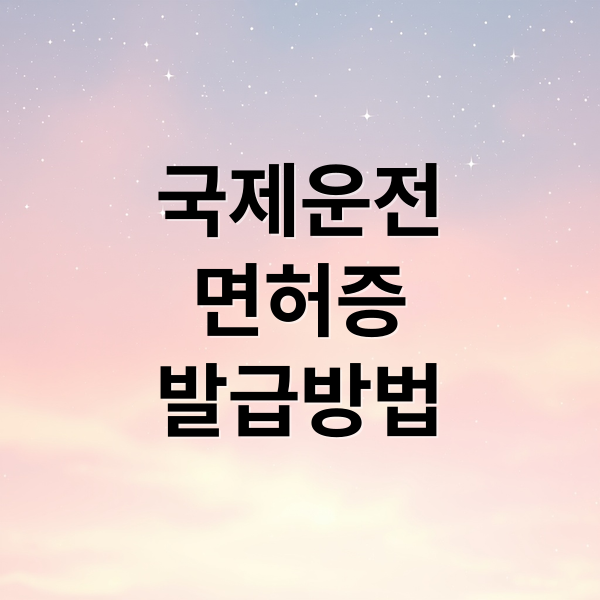 국제운전
면허증
발급방법 (국제운전면허증)